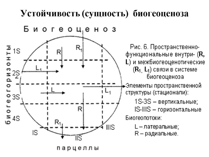 Устойчивость (сущность)  биогеоценоза
